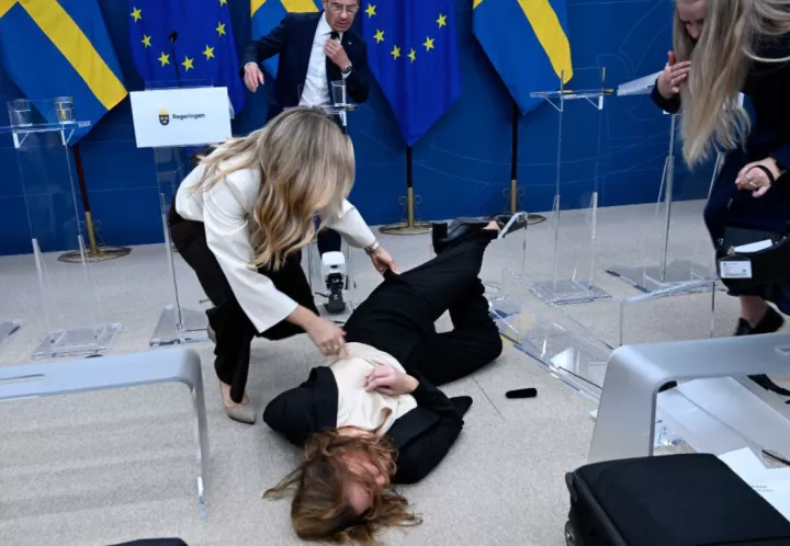 1757442734117 ssgsdgdg.jpg