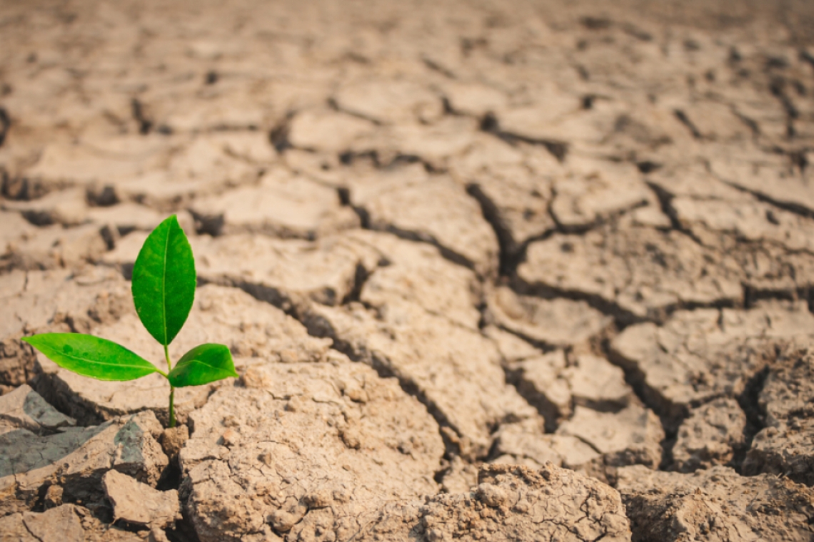 Καταλονία | Η ξηρασία του αιώνα απειλεί την ύδρευση και την αγροτική παραγωγή