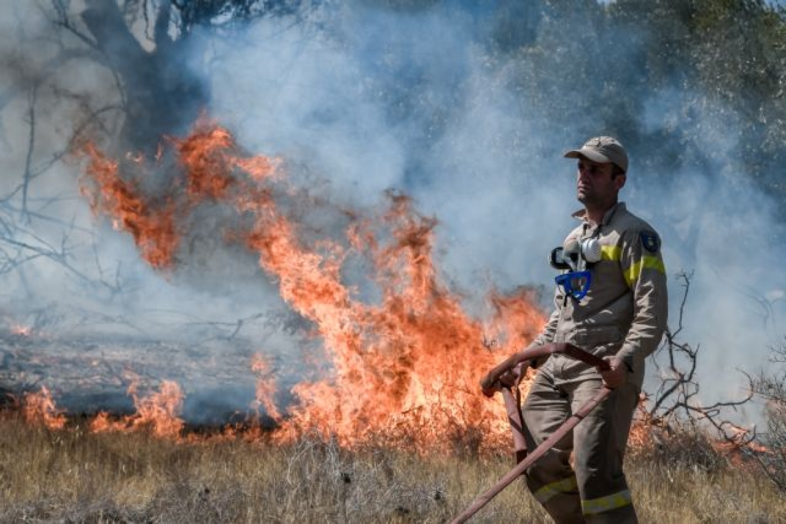 Διεθνής βοήθεια για την αντιμετώπιση των δασικών πυρκαγιών στην Κολομβία