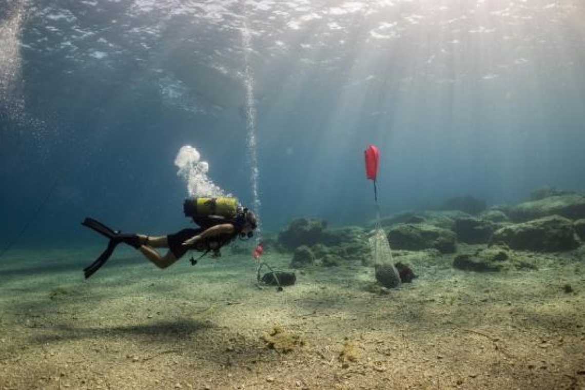 Εντυπωσιακά ευρήματα από υποβρύχια έρευνα ανοιχτά της Κάσου