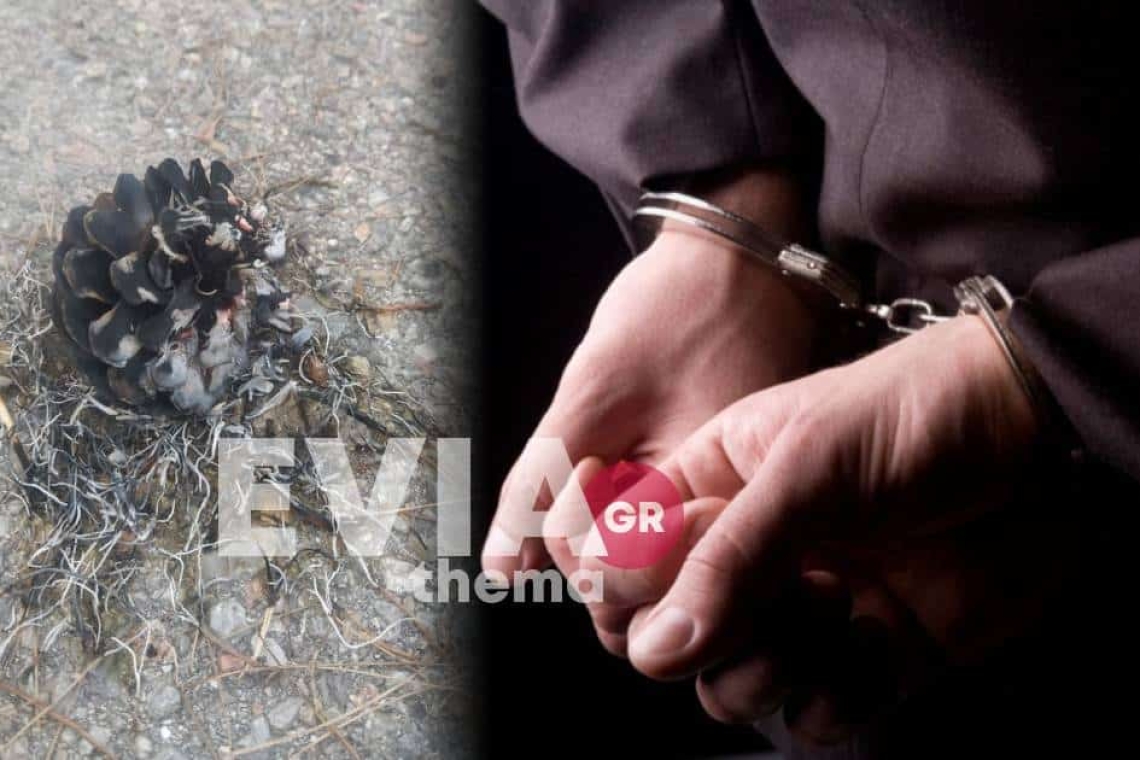 Σύλληψη άνδρα για άσεμνη πράξη σε βάρος ανηλίκων στη Χαλκίδα