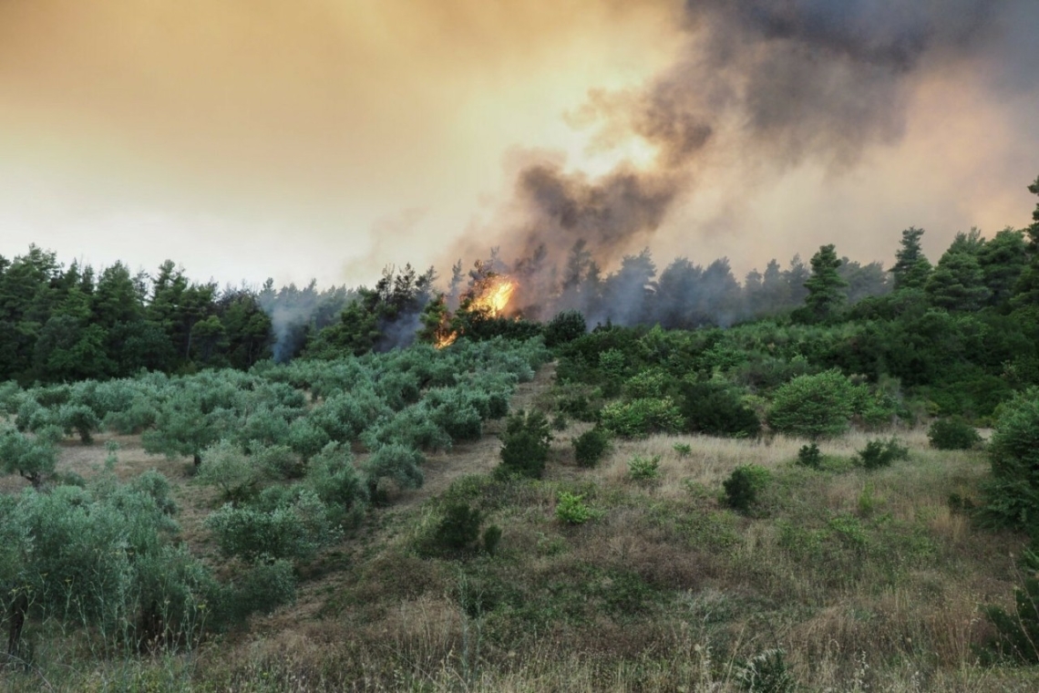 16 εκατομμύρια ευρώ στους πληγέντες από τις πυρκαγιές του 2023