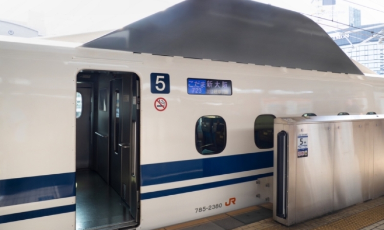 Φίδι προκάλεσε καθυστέρηση 17 λεπτών σε τρένο στην Ιαπωνία
