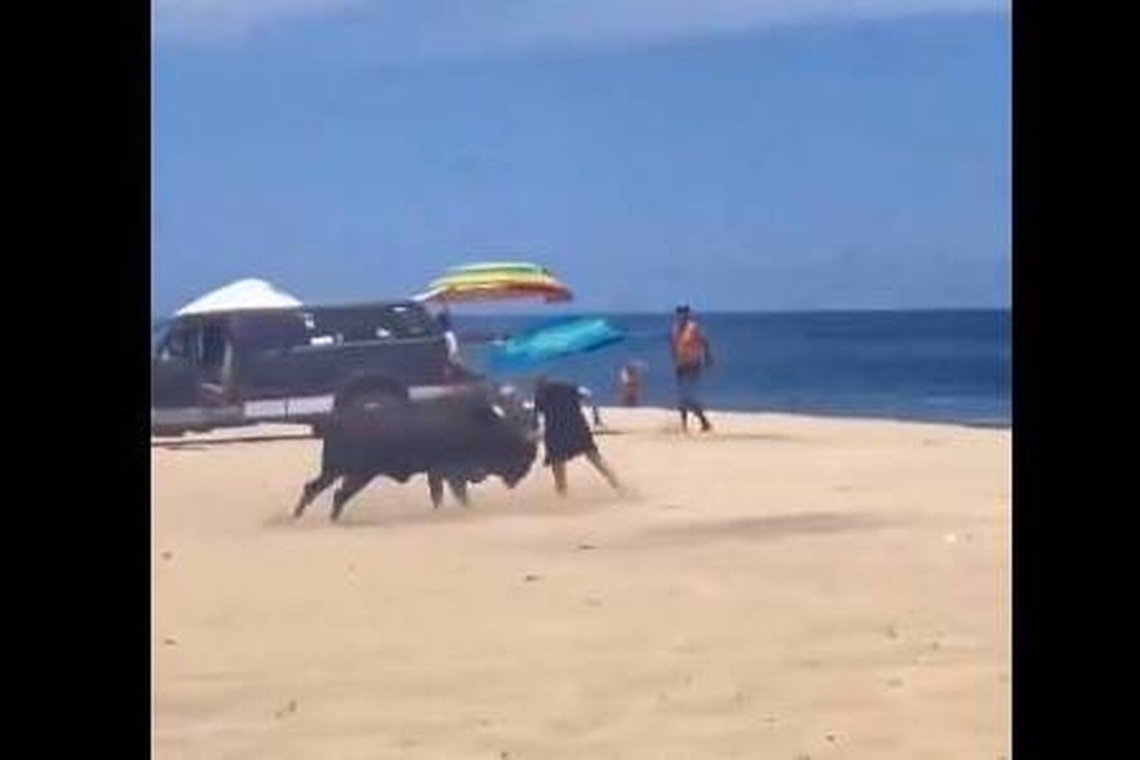 Μεξικό | Ταύρος επιτέθηκε σε γυναίκα σε παραλία - Βίντεο