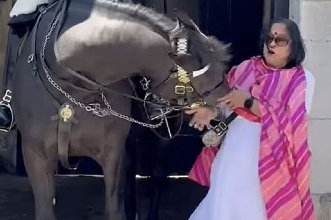 Παλάτι του Μπάκιγχαμ | Άλογο της βασιλικής φρουράς δάγκωσε τουρίστρια που το άγγιξε για να βγάλει φωτογραφία - Βίντεο