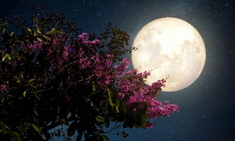 Πανσέληνος Μαΐου 2024 | Τα βλέμματα στραμμένα στον ουρανό για το «Φεγγάρι των λουλουδιών»