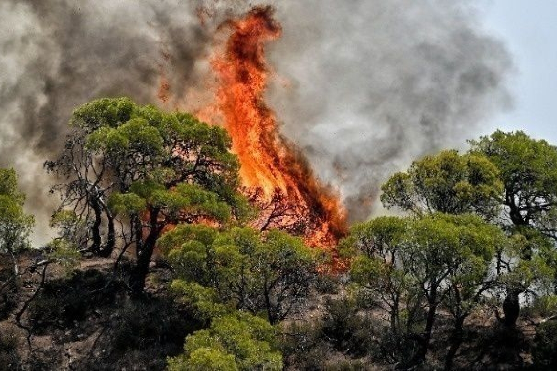 Πυρκαγιές απειλούν αγροτοδασικές περιοχές σε Ρέθυμνο, Λακωνία και Ασπρόπυργο - Μηνύματα από το 112