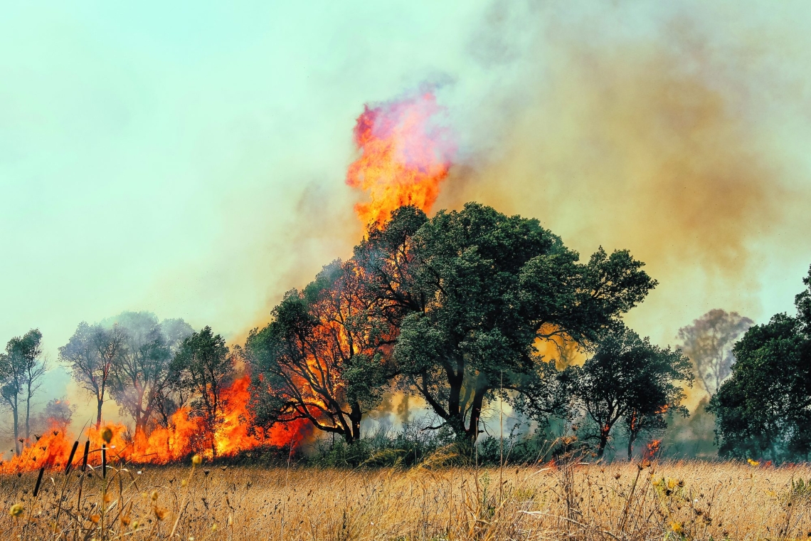 Πολύ υψηλός κίνδυνος πυρκαγιάς σε πέντε περιοχές, λέει ο Κικίλιας