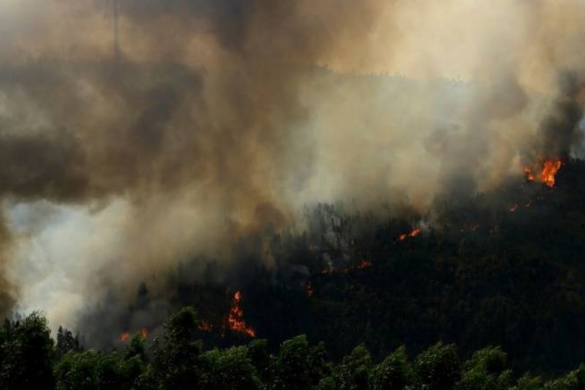 Πυρκαγιές στην Πορτογαλία: Ενισχύσεις από Ισπανία και Μαρόκο