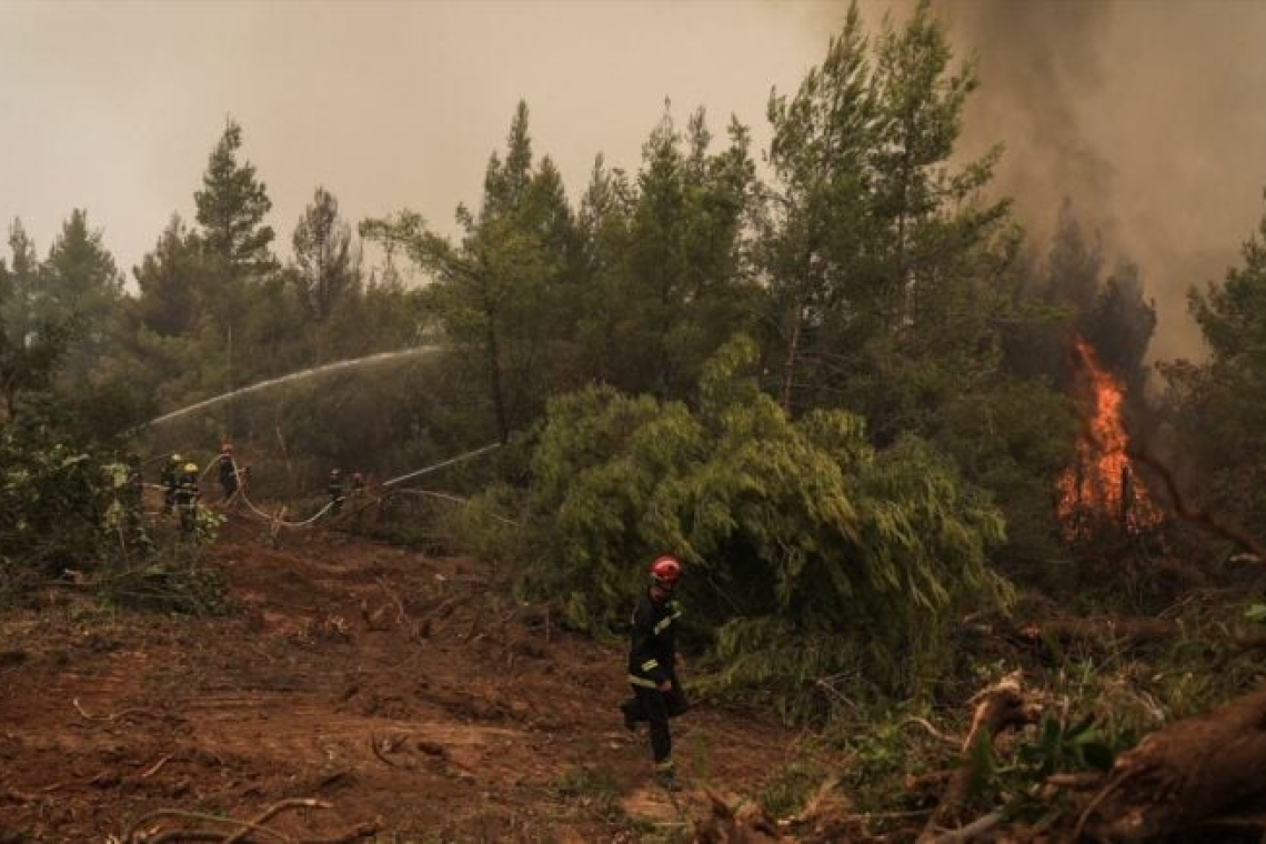 Τριάντα δασικές πυρκαγιές καταγράφηκαν το τελευταίο 24ωρο στη χώρα