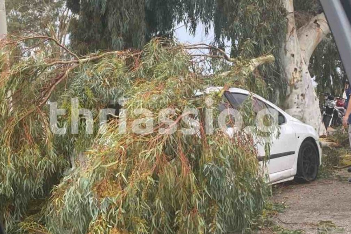 Προβλήματα στην εθνική οδό λόγω πτώσης δέντρων στον Ασπρόπυργο