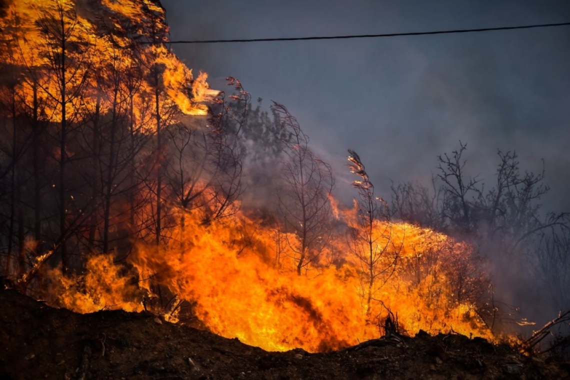 51 αγροτοδασικές πυρκαγιές κατακαίνε τη χώρα τις τελευταίες 24 ώρες