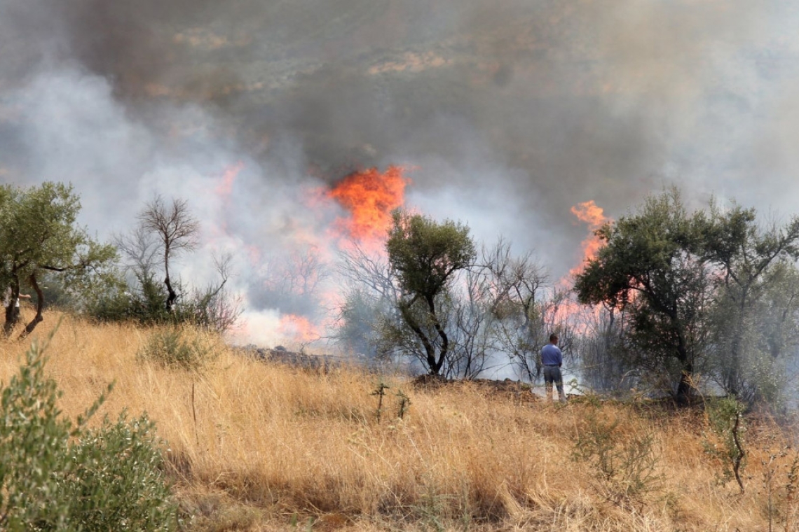 Σε εξέλιξη μεγάλη πυρκαγιά στη Βέρια Σπάρτης, σε συναγερμό οι αρχές