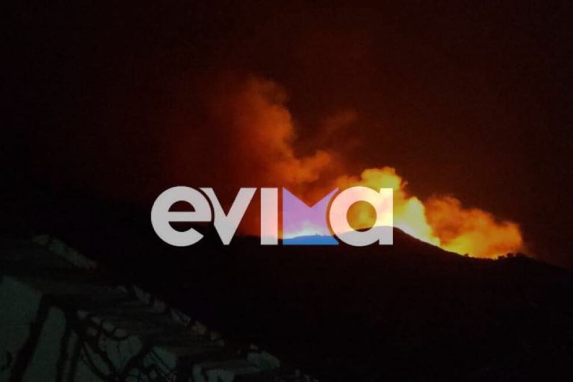 https://www.in.gr/wp-content/uploads/2025/03/evia-pirkagia1-600x409.jpg