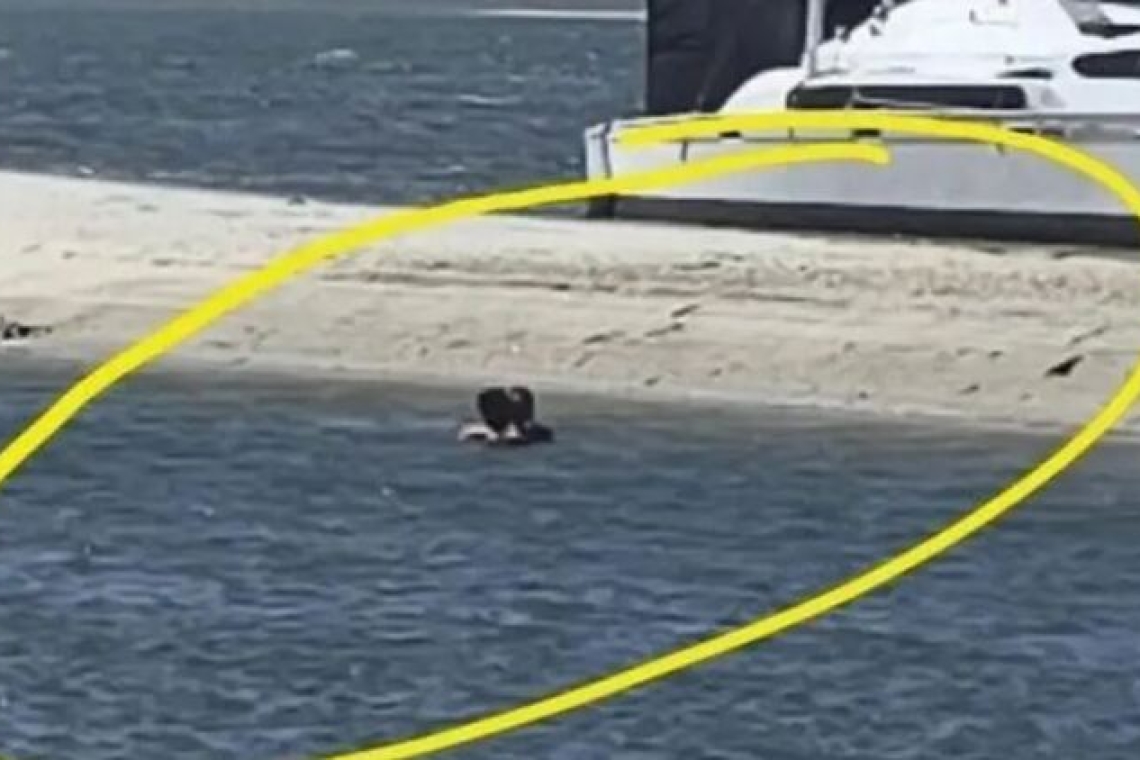 Σάλος στην Αυστραλία: Ζευγάρι ζήτησε χρήματα για «ροζ παράσταση» σε λίμνη