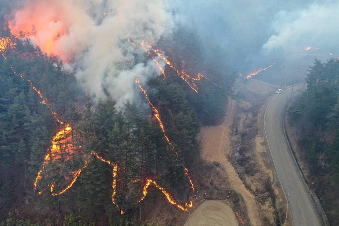 Φονικές πυρκαγιές στη Νότια Κορέα: Καταστροφή και απώλειες ζωών