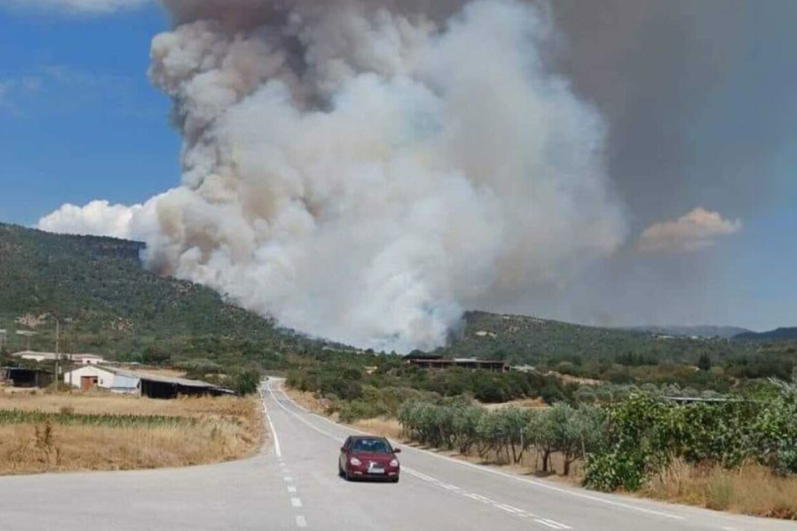 https://www.in.gr/wp-content/uploads/2025/04/foteli-620x350.jpg