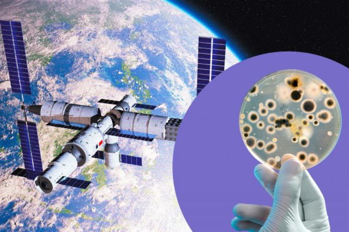 Ανακάλυψη μοναδικού βακτηρίου στον κινεζικό διαστημικό σταθμό