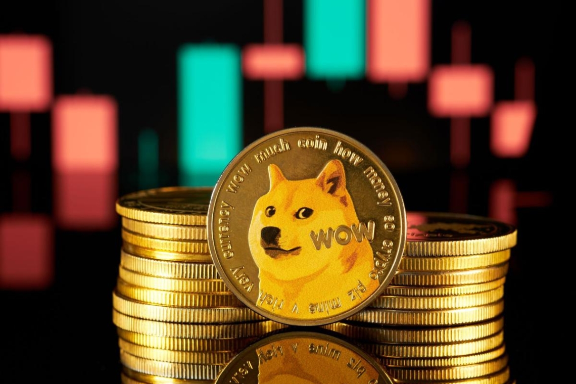 Η διατήρηση των πόρων του DOGE πέρα από την εποχή Μασκ
