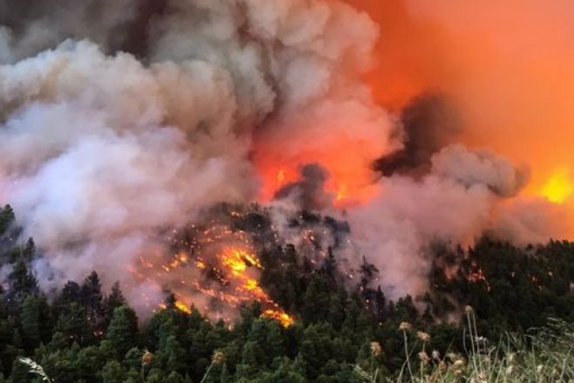 Κίνδυνος μεγάλων πυρκαγιών φέτος το καλοκαίρι 