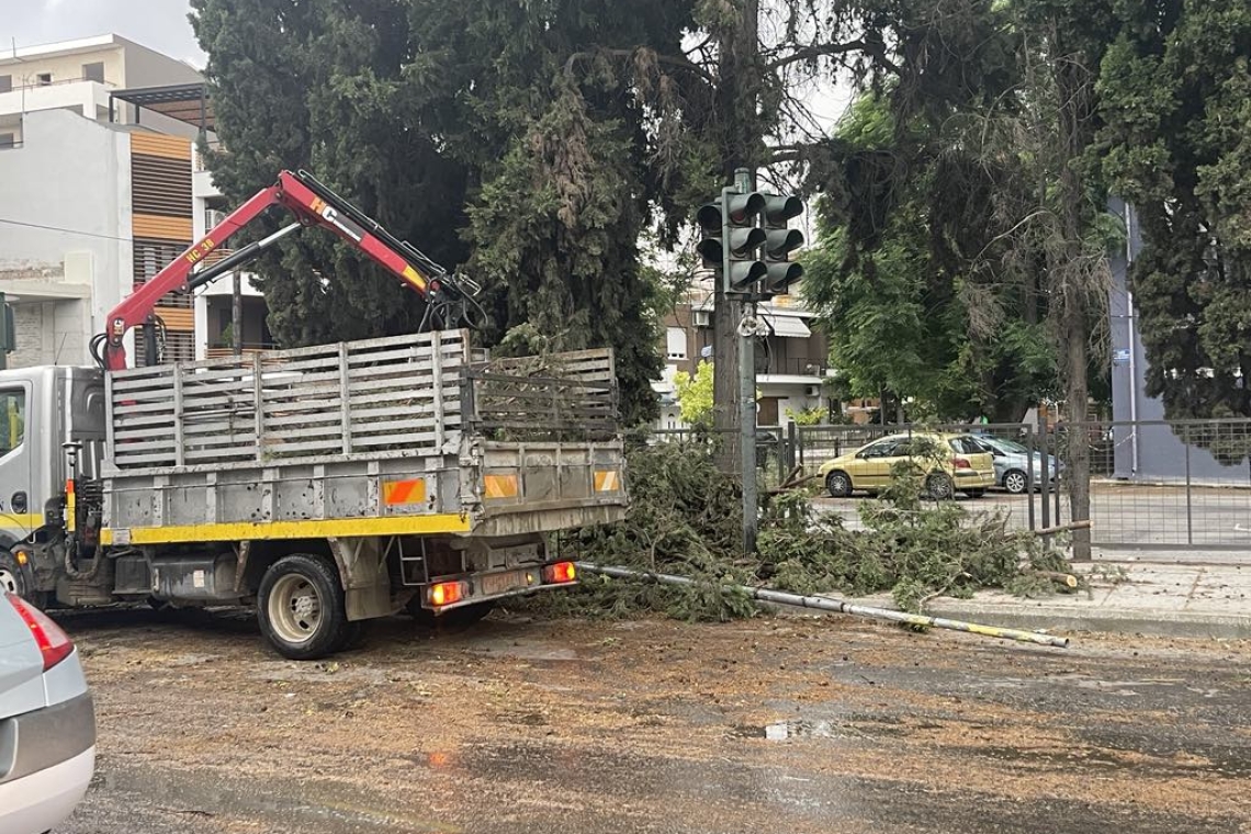 Προβλήματα στη Λάρισα από κακοκαιρία: Πτώση δέντρων και ζημιές σε σχολείο