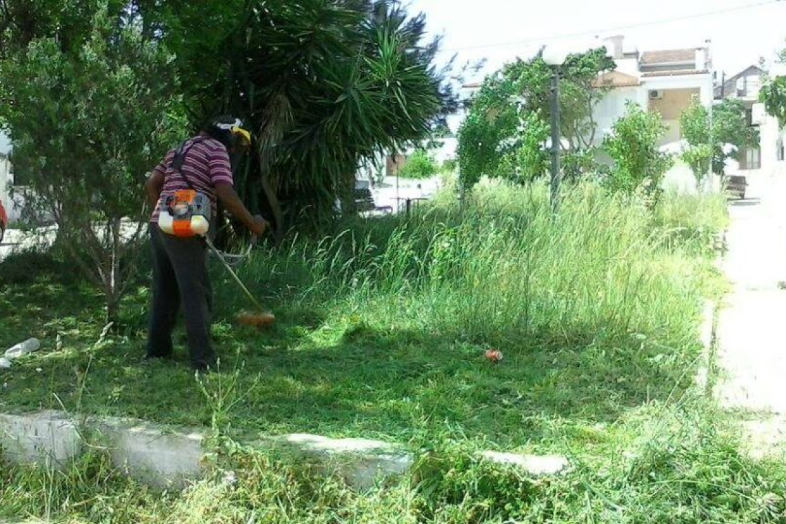 Αμεση δράση για τα παραμελημένα οικόπεδα από δήμους και Πυροσβεστική