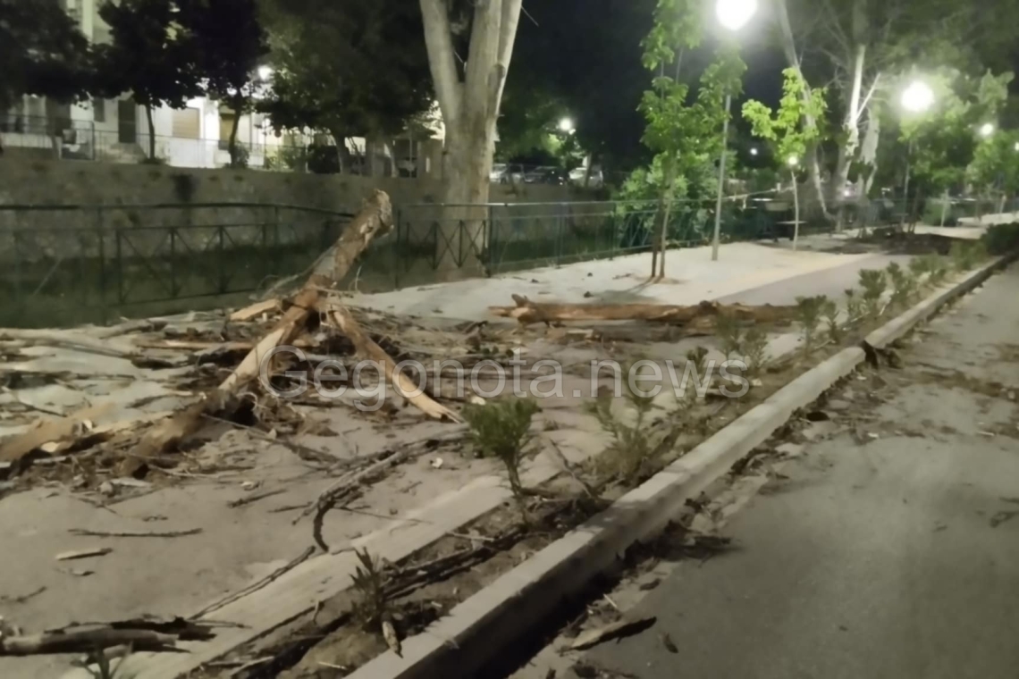 Ανεμοθύελλα στον Βόλο: Καταστροφές από ισχυρούς ανέμους και ξεριζωμένα δέντρα
