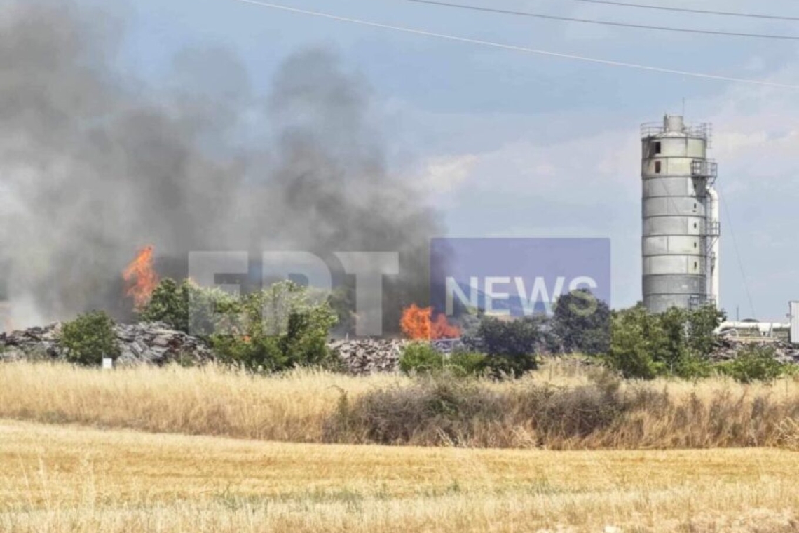 Φωτιά σε εργοστάσιο ξυλείας στο Νέο Σούλι Σερρών