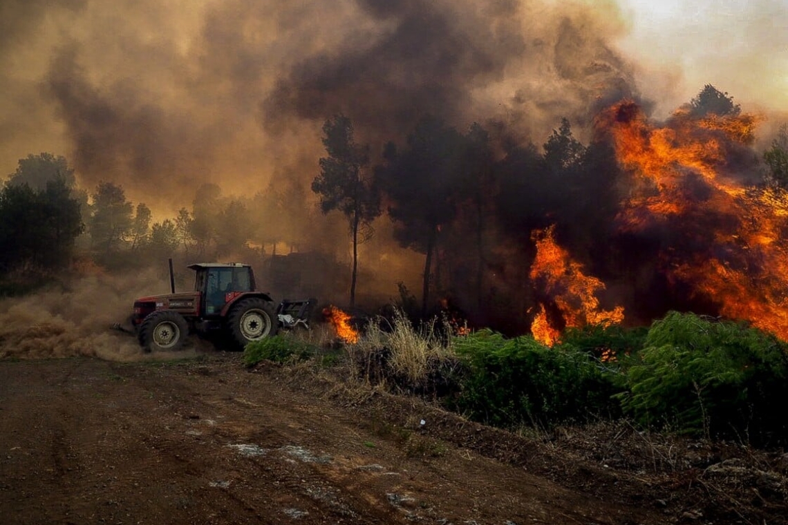 Σύλληψη αλλοδαπού για την φωτιά στην Εύβοια