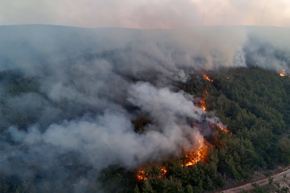 Οι καπνοί από τη φωτιά στο Τσανάκκαλε φτάνουν στη Λέσβο