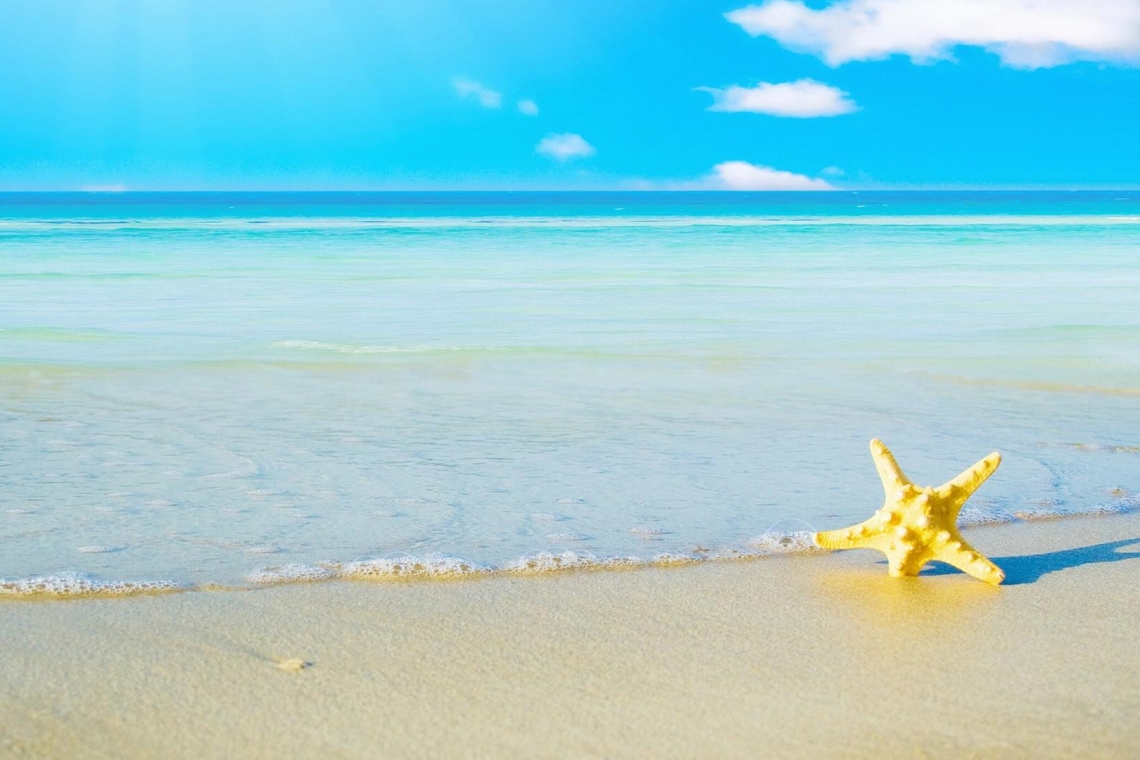 Καλό καλοκαίρι σε όλους! Κοντά σας πάλι, την 1η Σεπτεμβρίου 2025