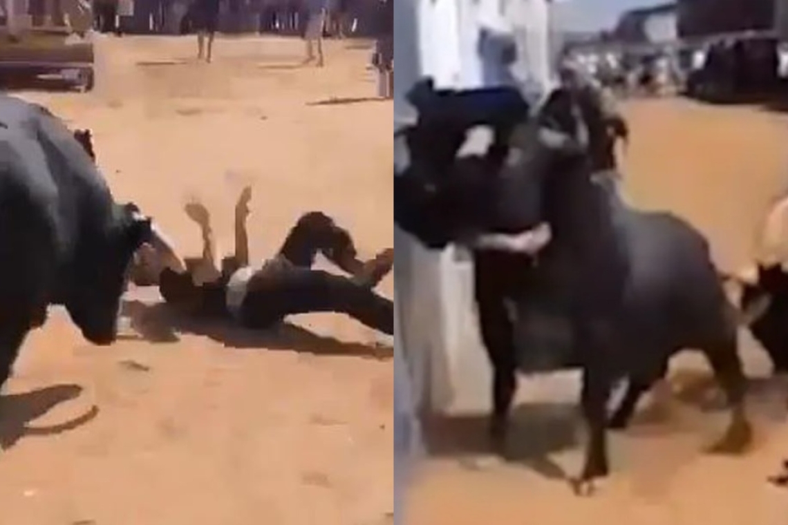 Ισπανία: Σοβαρός τραυματισμός 17χρονου από ταύρο σε φεστιβάλ