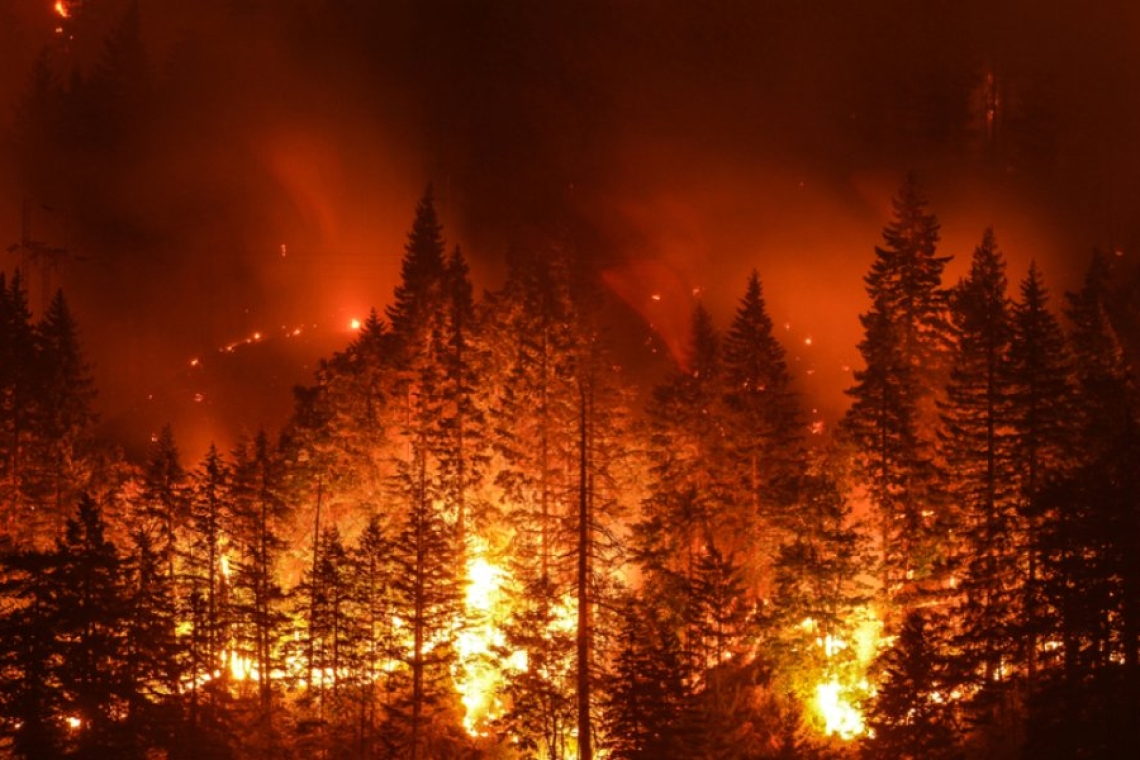 Σύνδεση εκπομπών άνθρακα με θανατηφόρους καύσωνες από πετρελαϊκούς γίγαντες