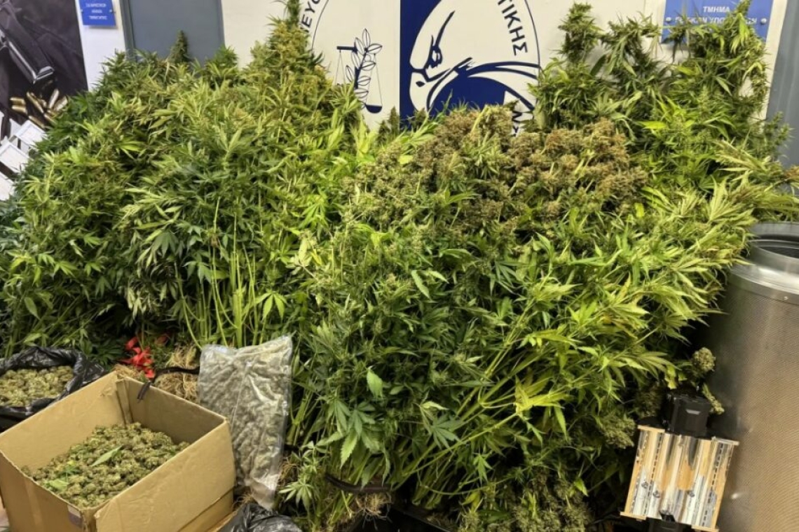 Καλλιέργεια κάνναβης σε αποθήκη σπιτιού στη Θεσσαλονίκη