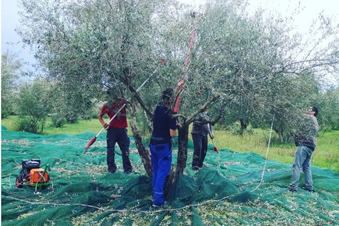 Σάλος με αγγελία στα Χανιά με εργάτη που ζητά υψηλό μεροκάματο