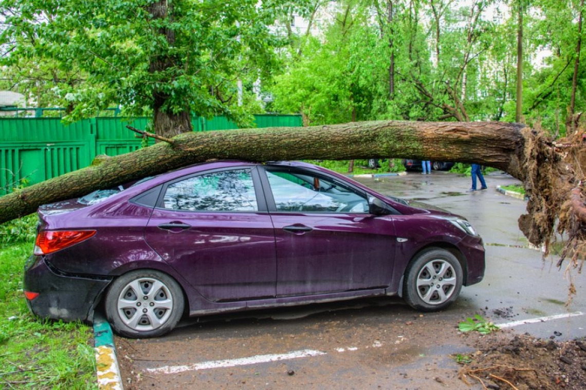 Θεσσαλονίκη: Ανεμοθύελλα έριξε δέντρο σε αυτοκίνητο