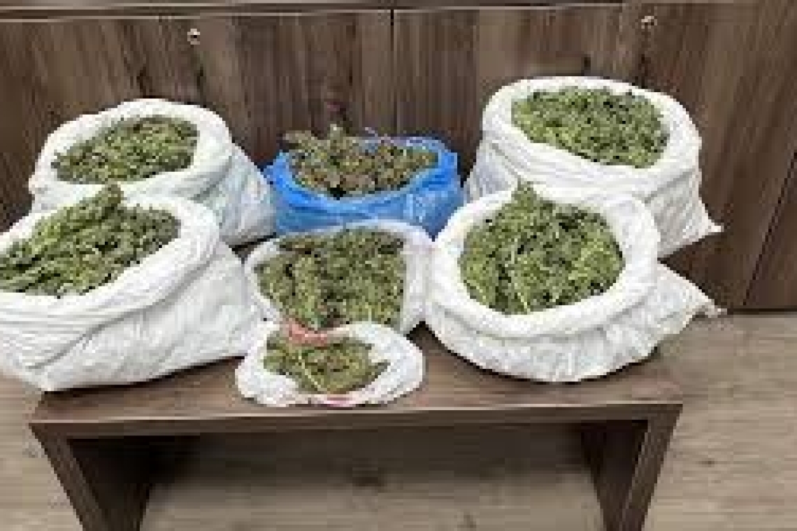 Κρήτη: Εντοπίστηκαν ανήλικοι με 14 κιλά κάνναβης