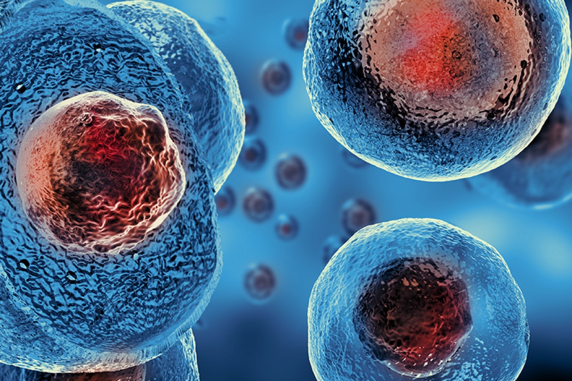 Πρώτη φορά σεξ: Μια ιστορία δισεκατομμυρίων χρόνων