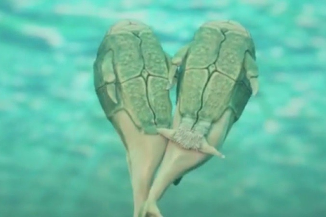 Το πρώτο σεξ στη στεριά