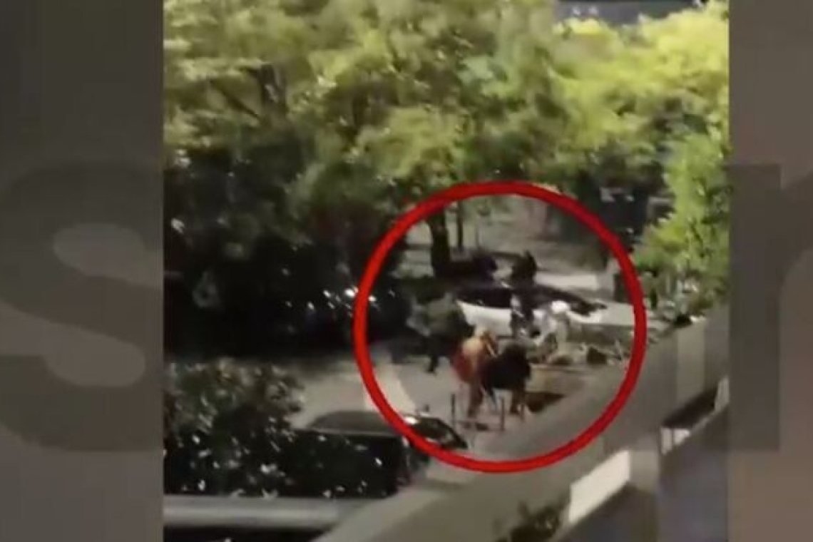 Ομολογία 29χρονου για τον ξυλοδαρμό 58χρονου στον Νέο Κόσμο