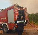 Σχέδιο αντιπυρικής προστασίας: 18.500 πυροσβέστες και drones έτοιμοι για δράση