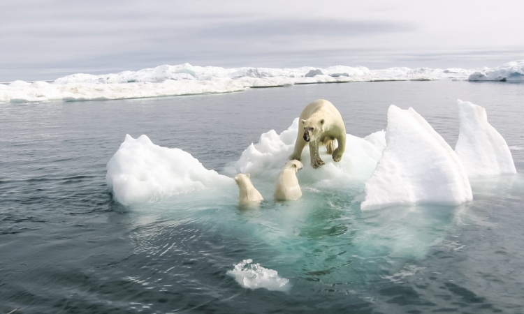 Τι θα γινόταν εάν όλοι οι παγετώνες έλιωναν μέσα σε έναν χρόνο;